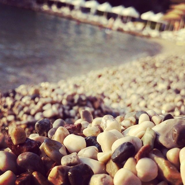 beach, pebble, water, shore, abundance, sea, large group of objects, stone - object, surface level, sand, selective focus, nature, focus on foreground, tranquility, day, outdoors, rock - object, stone, close-up, no people