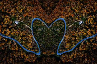 heart shape