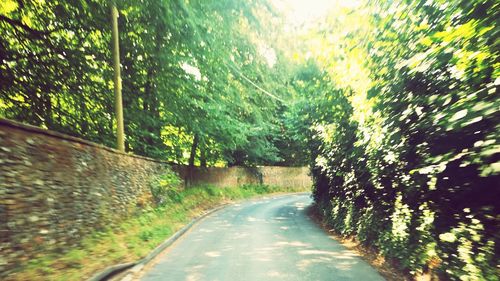 Road amidst trees in forest