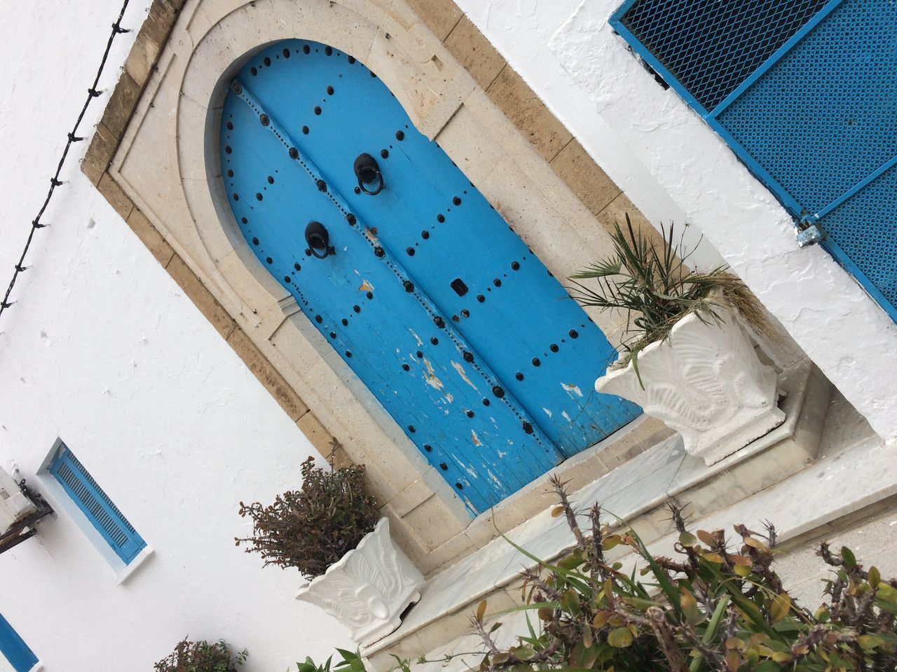 blue, plant, architecture, no people, nature, built structure, building exterior, day, low angle view, building, tree, window, outdoors, wall - building feature, tilt, white color, growth, sunlight, swimming pool