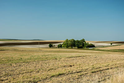 Scenic view of field and trees against clear sky