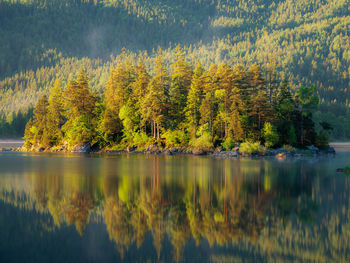 Scenic view of lake by trees during autumn