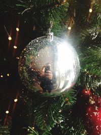 Close-up of illuminated christmas tree at night