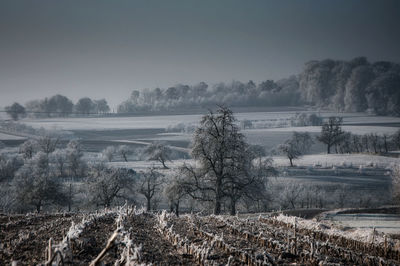 Scenic view of landscape against sky during winter