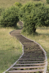 Boardwalk leading towards trees on field