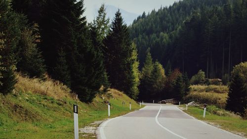 Road amidst trees against sky