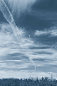 Low angle view of trees against sky