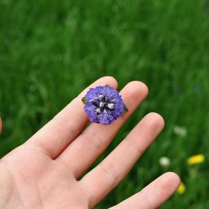 Close-up of hand holding purple flower