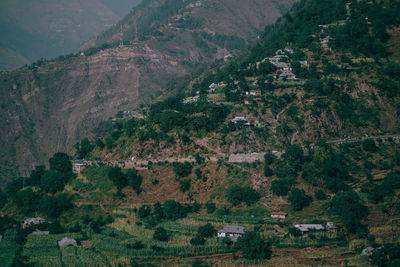 High angle view of trees and buildings