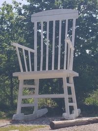 Chairs and trees against plants