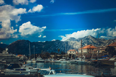 Sailboats moored in harbor