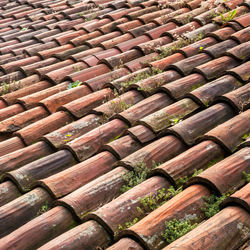 Full frame shot of roof tiles