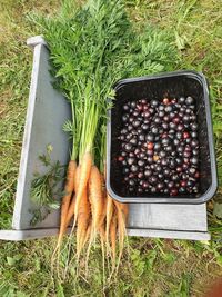 High angle view of fruits in container