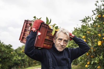 Smiling mature man carrying crate of oranges in farm