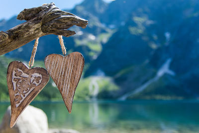 Close-up of wood on lake against sky