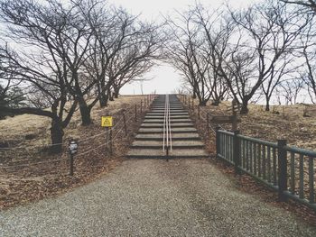 Footpath amidst bare trees against sky