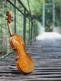 Beautiful violin