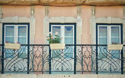 Potted plants on window of house