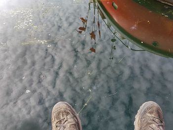 Reflection of trees in water