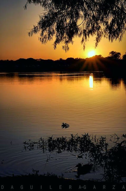 sunset, water, silhouette, tranquil scene, scenics, reflection, sun, orange color, tranquility, beauty in nature, lake, tree, sky, idyllic, nature, mountain, sunlight, majestic, outdoors, lakeshore