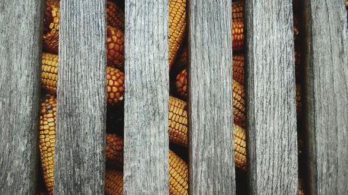 Corncobs stored on traditional raised granary