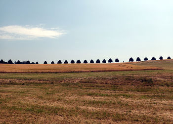 Scenic view of field against sky with an avenue of trees in the background in the hunsrück region