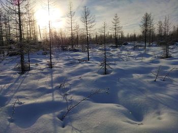 Snow covered field against sky