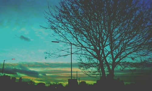 Bare trees against sky at sunset