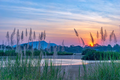 Scenic view of lake against sky during sunset