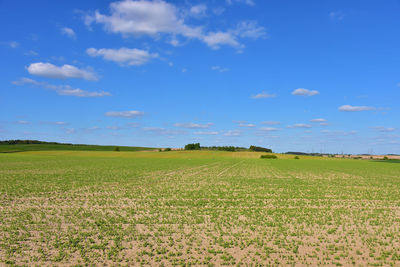 Scenic view of agricultural field against sky