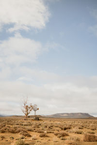 Scenic view of desert against sky