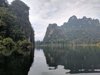 Reflection of trees in water