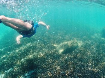 Rear view of man swimming in sea