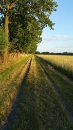 Road by farm against sky