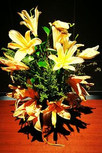 Close-up of yellow flowers blooming indoors