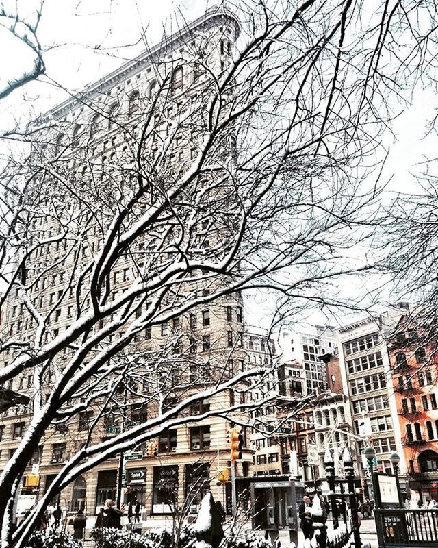 LOW ANGLE VIEW OF BARE TREE AGAINST SKY IN CITY