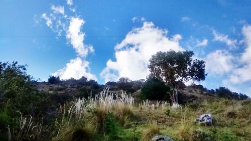 Scenic view of grassy field against cloudy sky