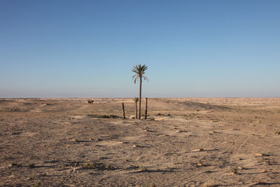 Scenic view of landscape against clear sky