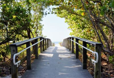 Empty footbridge along trees