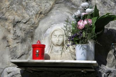 Close-up of red flowers