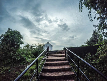 Stairs along trees