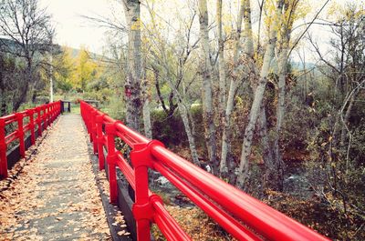 Footbridge in forest