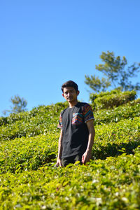 Vacation in the tea garden