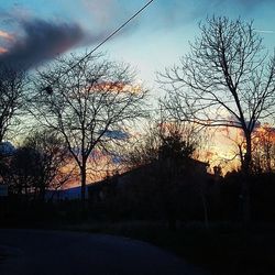 Bare trees against sky at sunset