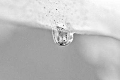 Close-up of object over white background