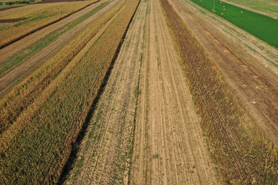 Aerial countryside view of agriculture fields, farmland, rural scenery by drone