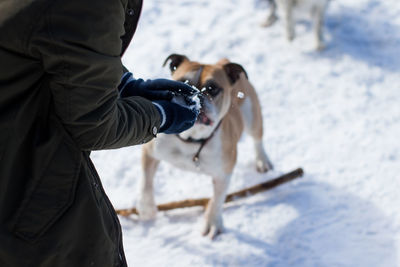 Man with dog standing on snow