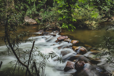 Stream flowing through rocks in forest