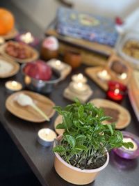 High angle view of vegetables in bowl on table