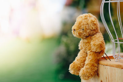 Close-up of stuffed toy on table